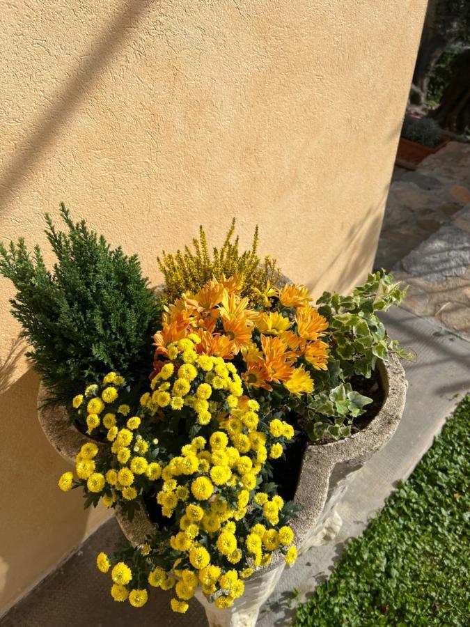 Le Merline Farm stay Arnasco