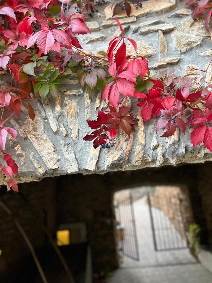 Farm stay Le Merline *